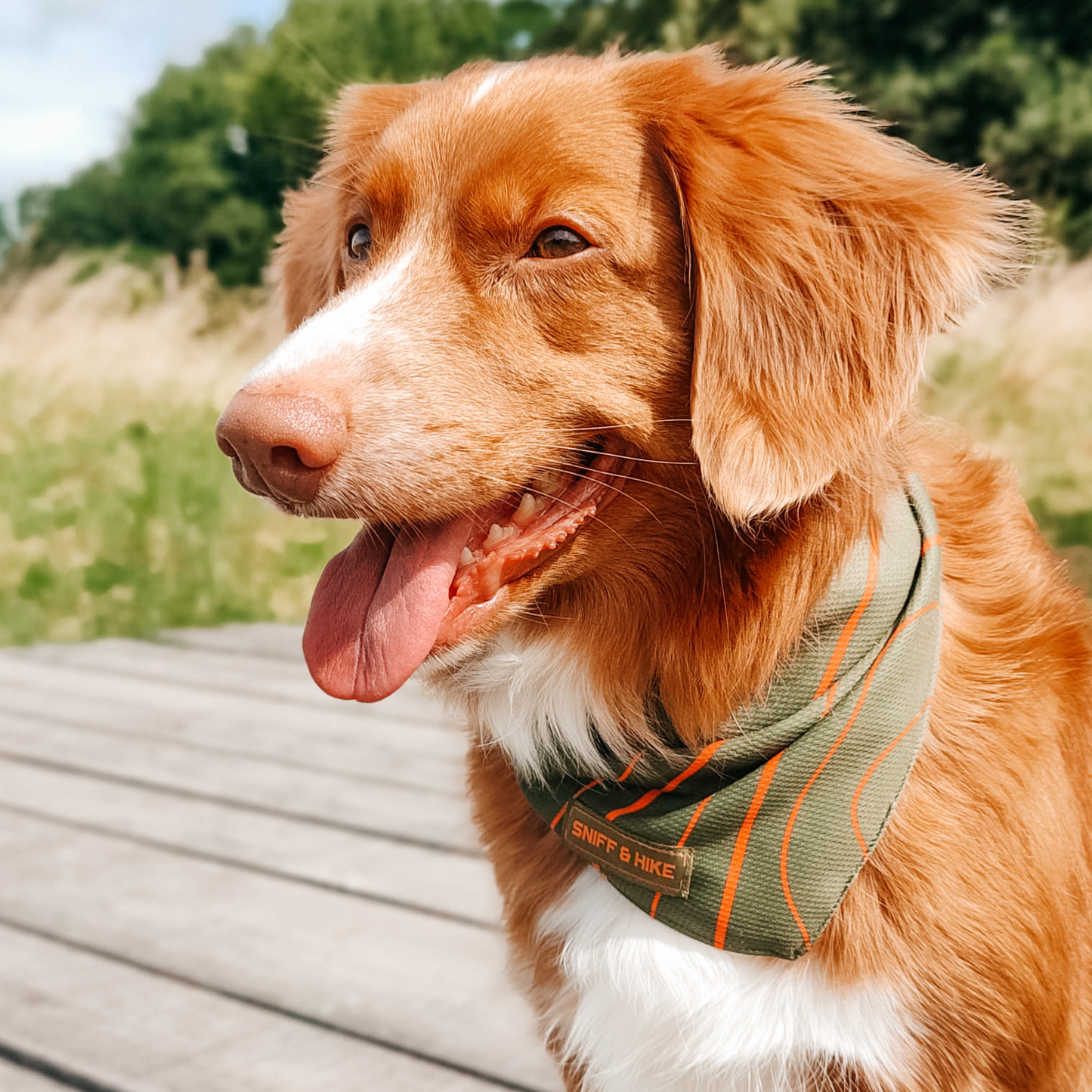 Bandana Topo Green